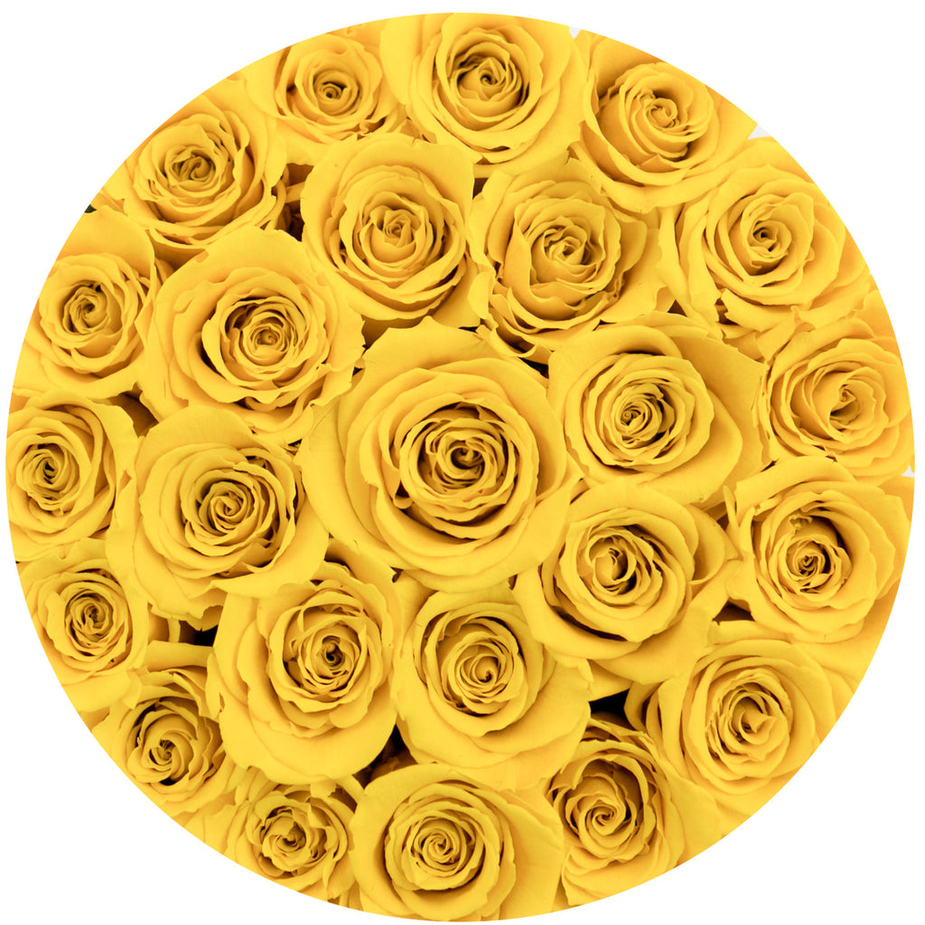 small round box - black - yellow ETERNITY roses