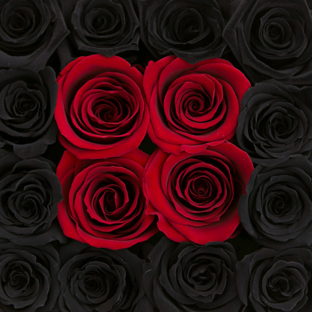 small SQUARE box - Beast - Limited Edition