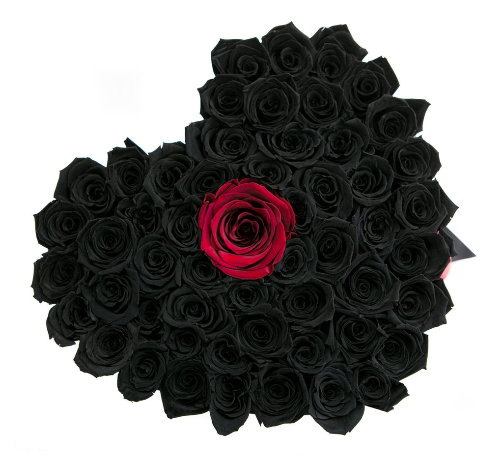 LOVE box - Beast - Limited Edition