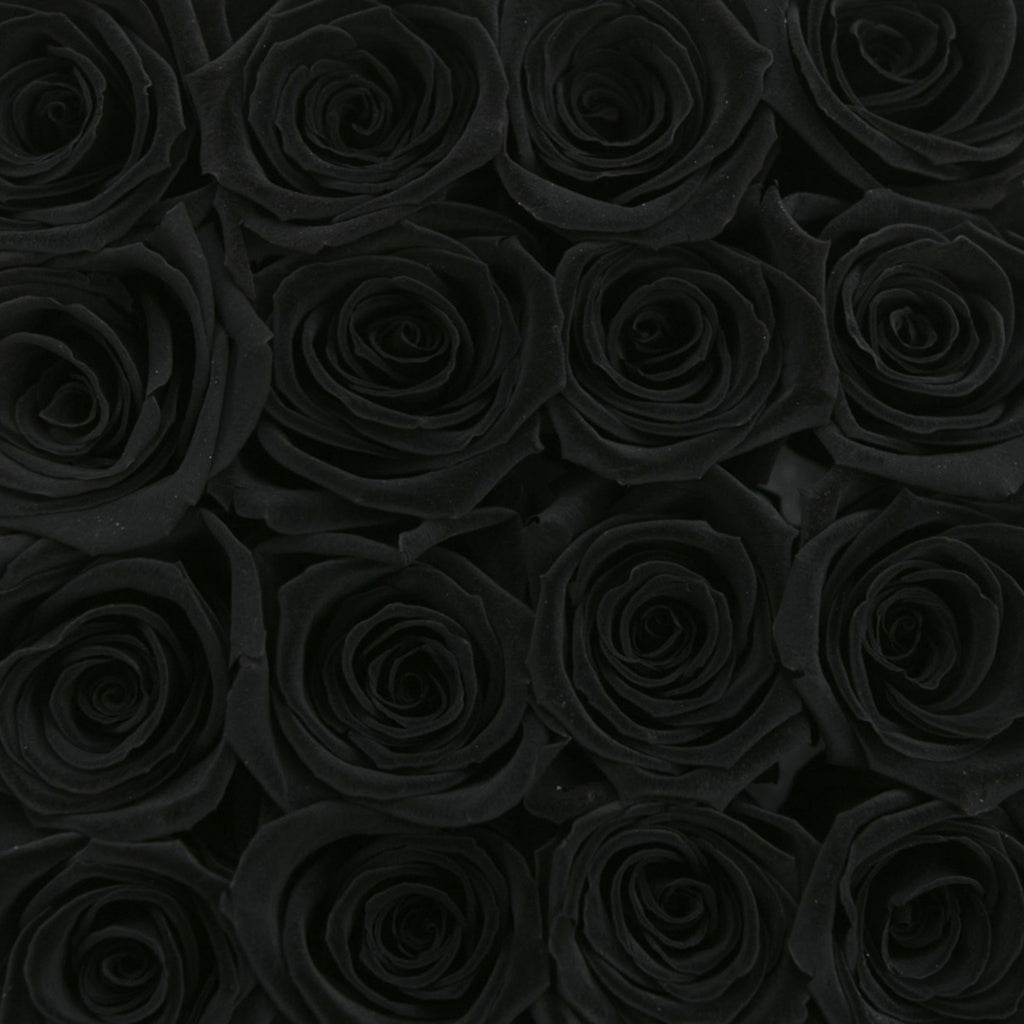small SQUARE box - vanilla - black ETERNITY roses