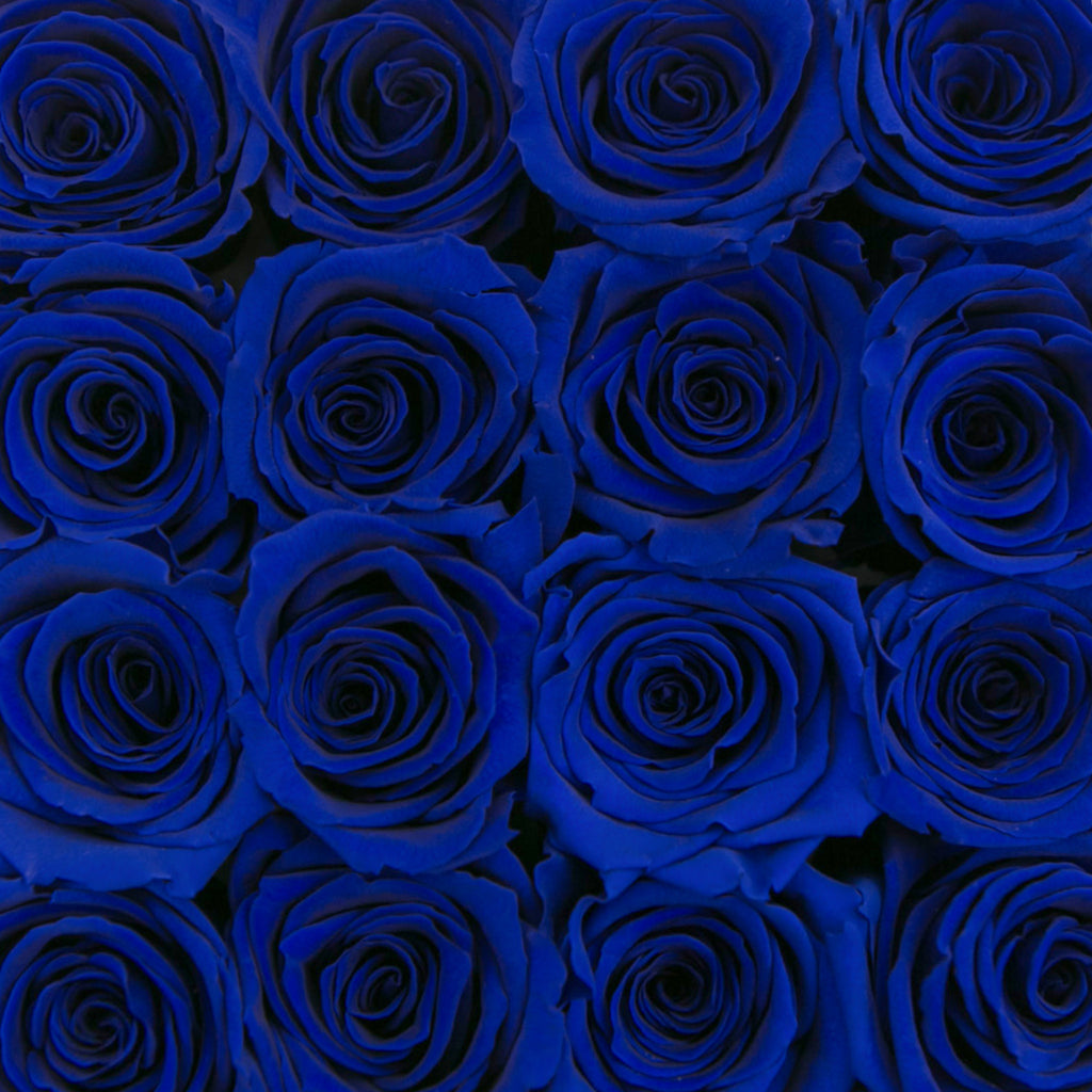 small SQUARE box - silver - blue ETERNITY roses