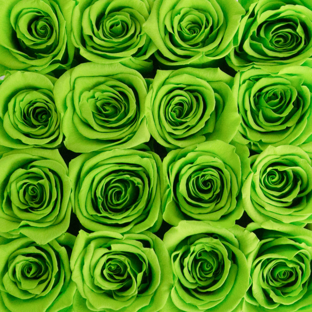 small SQUARE box - vanilla - light-green ETERNITY roses