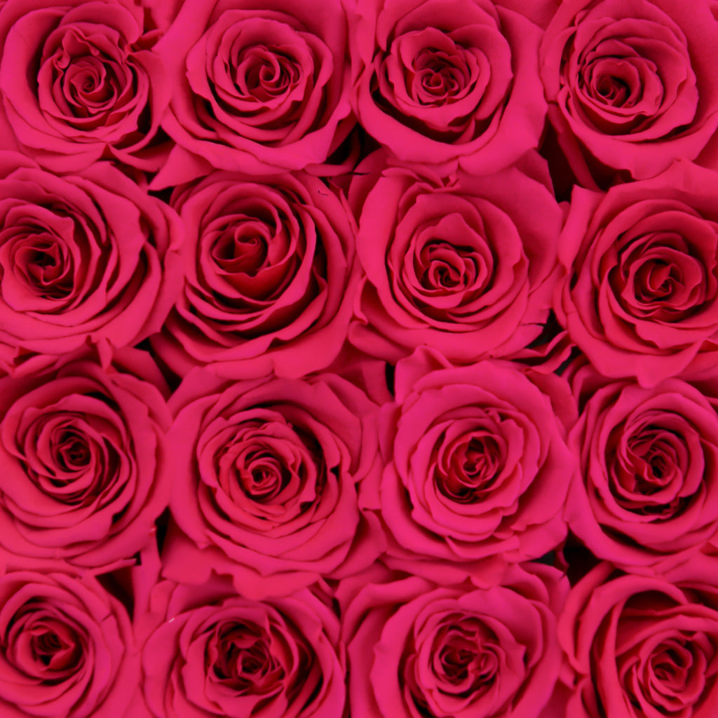 small SQUARE box - silver - hot-pink ETERNITY roses