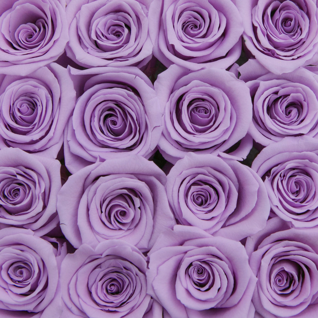 small SQUARE box - vanilla - lavender ETERNITY roses