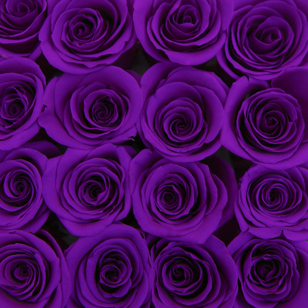 small SQUARE box - vanilla - medium-purple ETERNITY roses