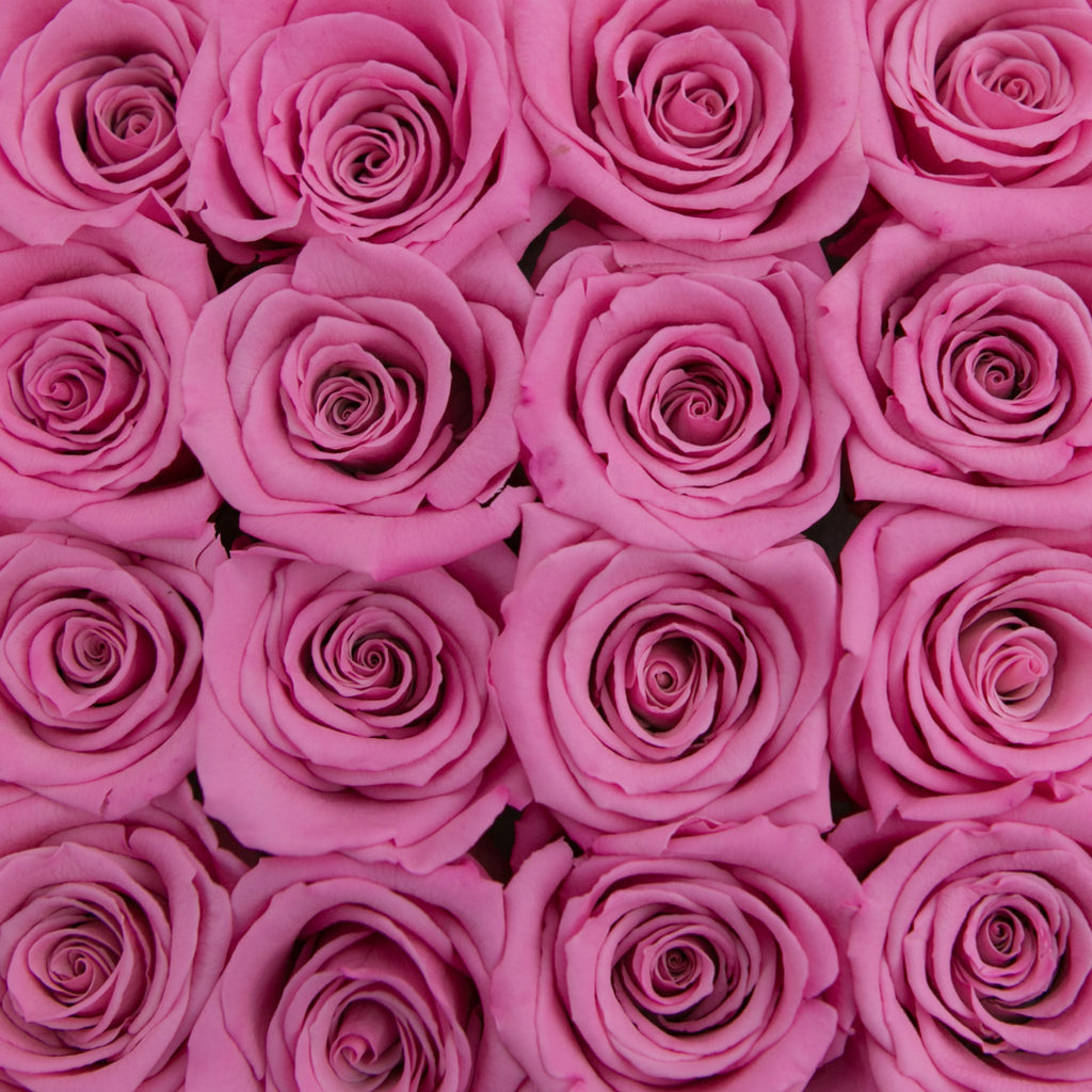 small SQUARE box - vanilla - pink-candy ETERNITY roses