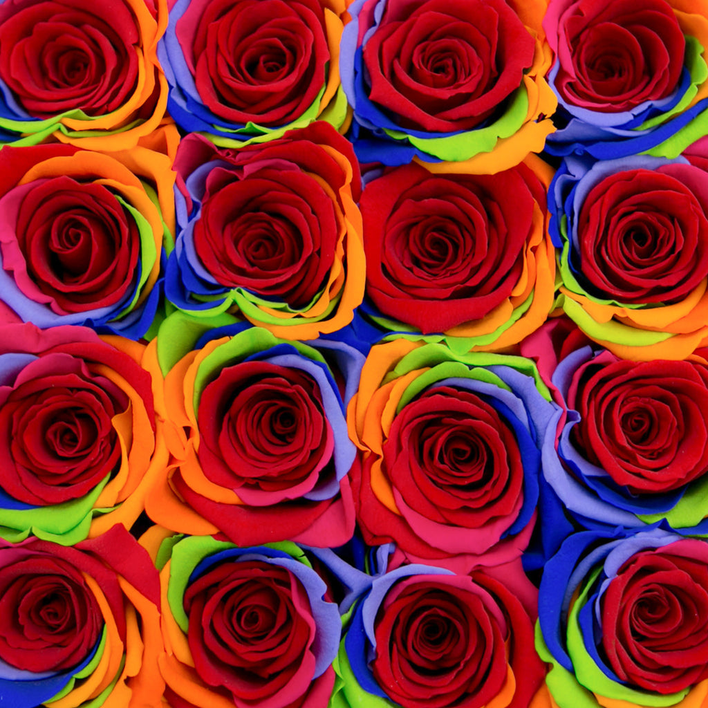 small SQUARE box - silver - rainbow ETERNITY roses