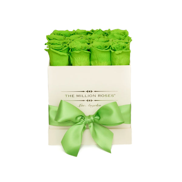 small SQUARE box - vanilla - light-green ETERNITY roses