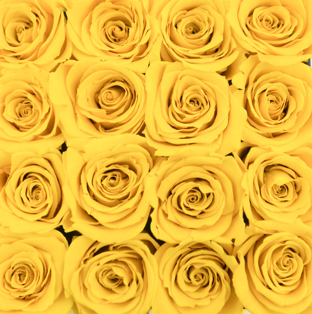 small SQUARE box - black - yellow ETERNITY roses