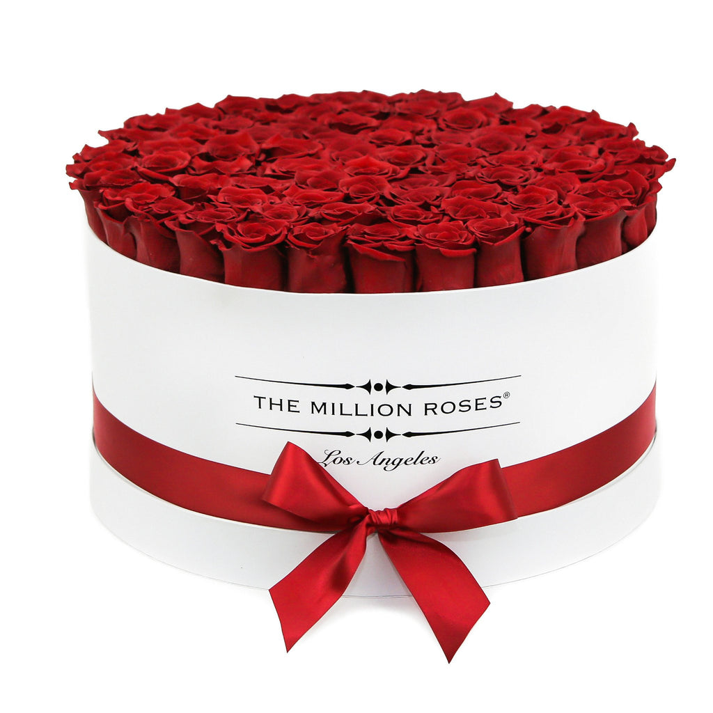 the million LARGE round box - white - red ETERNITY roses red eternity roses - the million roses