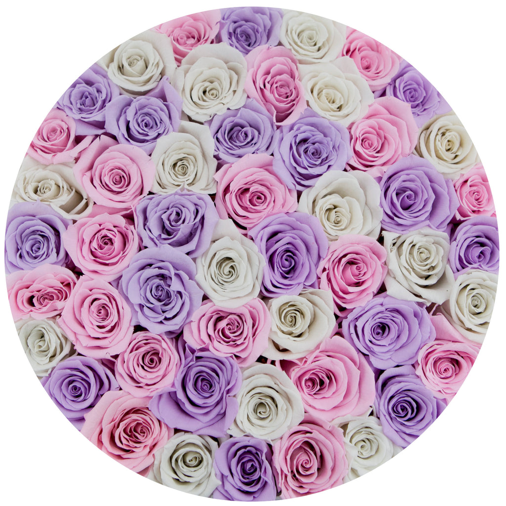 medium round box - white - white-pink-lavender (mix) ETERNITY roses