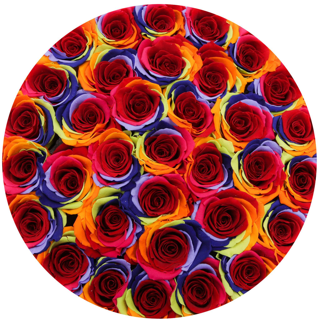 medium round box - white - rainbow ETERNITY roses rainbow eternity roses - the million roses