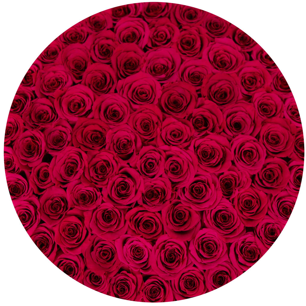 the million LARGE box - silver - hot-pink ETERNITY roses pink eternity roses - the million roses