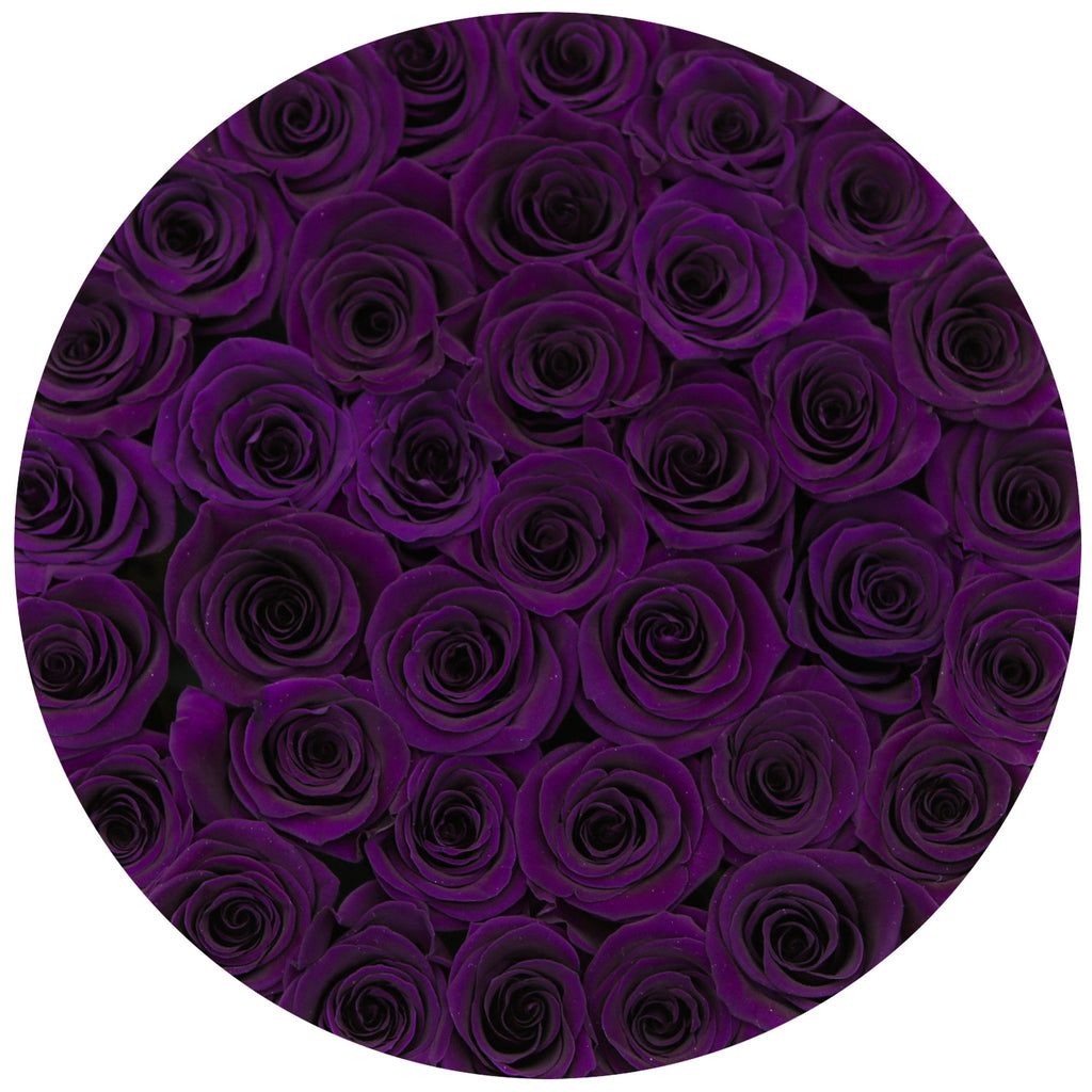 medium round box - black - dark purple ETERNITY roses purple eternity roses - the million roses