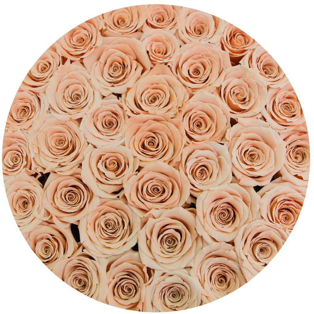 medium round box - white - peach ETERNITY roses peach eternity roses - the million roses