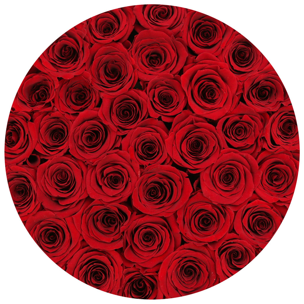 medium round box - white - red ETERNITY roses red eternity roses - the million roses