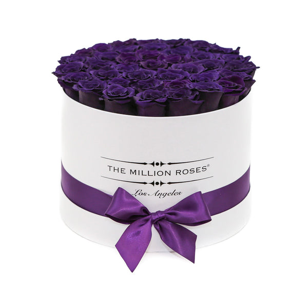 medium round box - white - dark purple ETERNITY roses purple eternity roses - the million roses