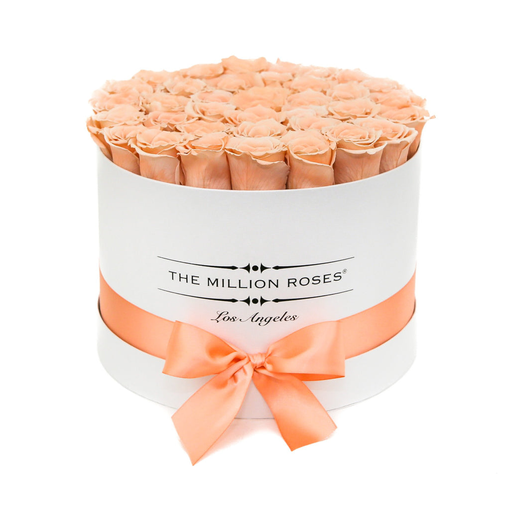 medium round box - white - peach ETERNITY roses peach eternity roses - the million roses