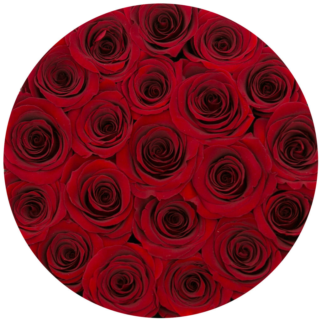small round box - black - red ETERNITY roses red eternity roses - the million roses
