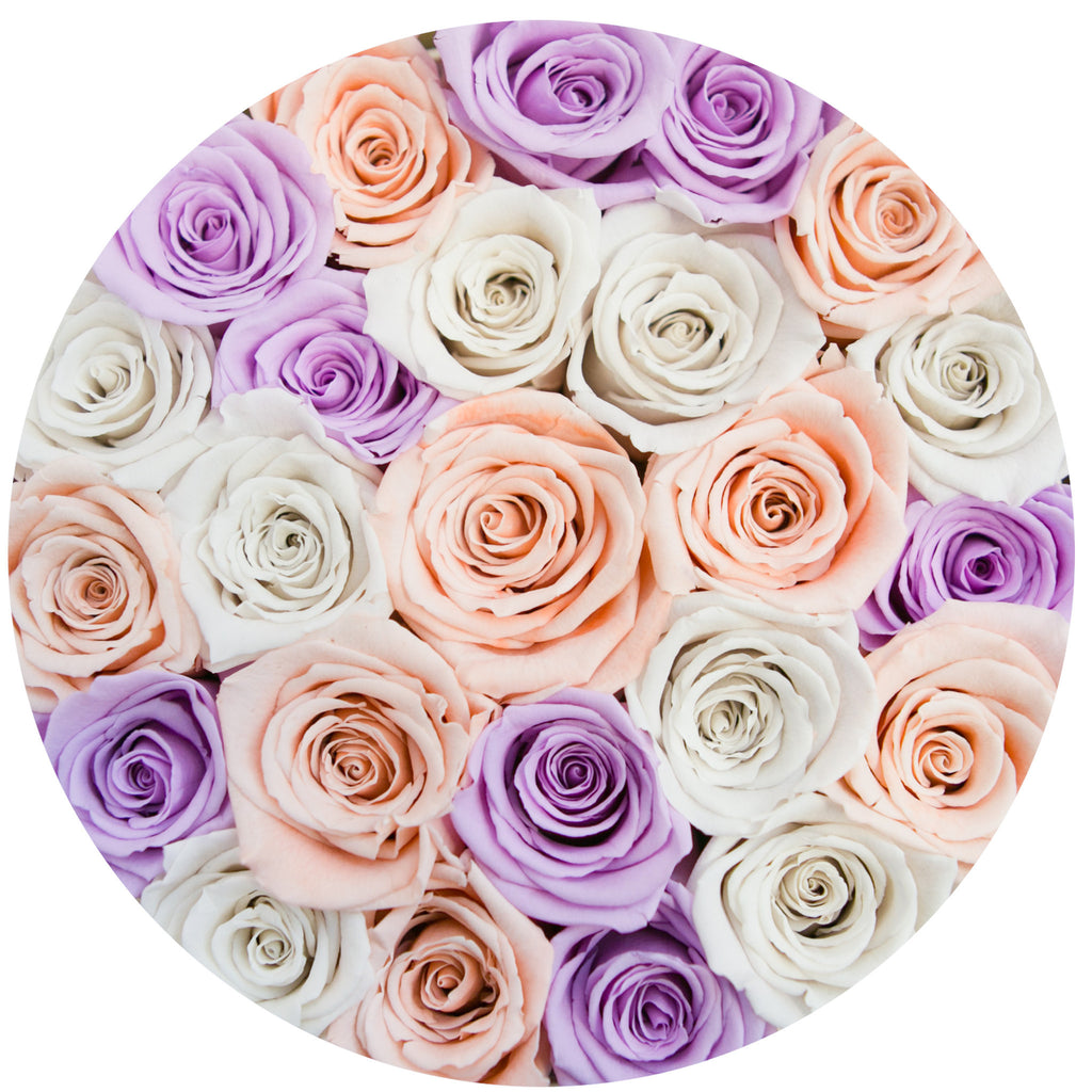 small round box - vanilla - white-peach-lavender ETERNITY roses
