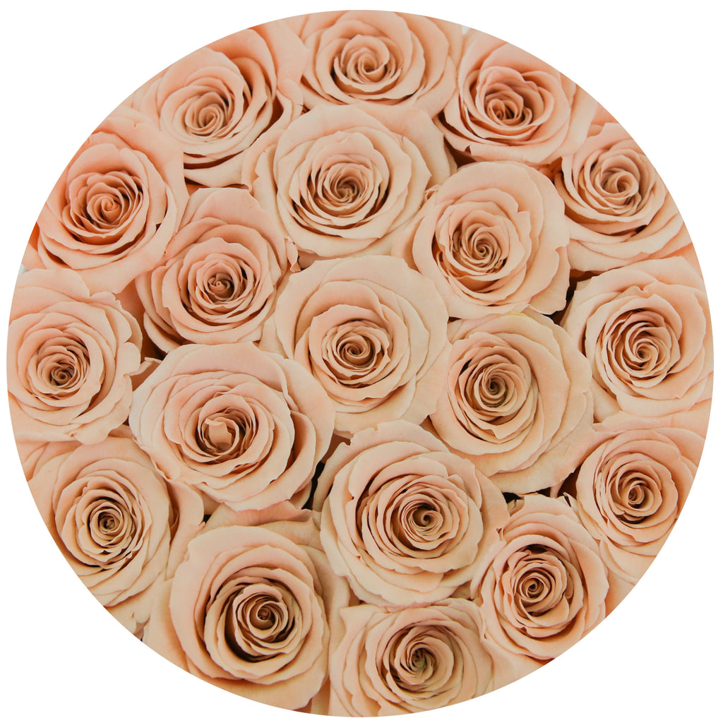 small round box - vanilla - peach ETERNITY roses