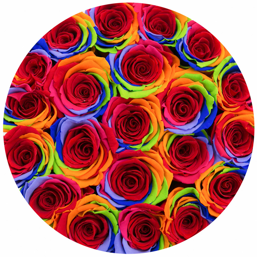 small round box - vanilla - rainbow ETERNITY roses