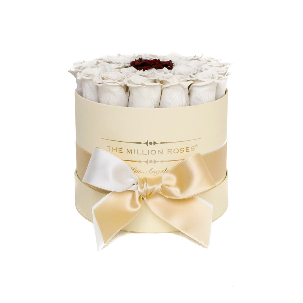 small round box - Bella - Limited Edition