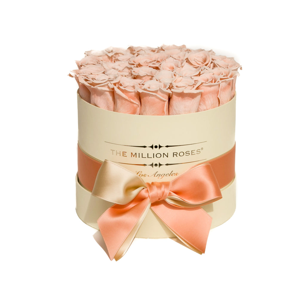small round box - vanilla - peach ETERNITY roses